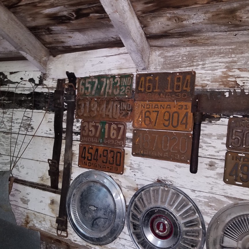 Auction Photo