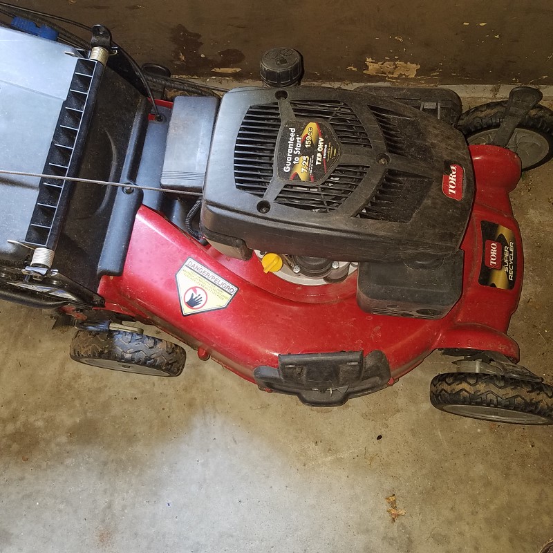 Auction Photo