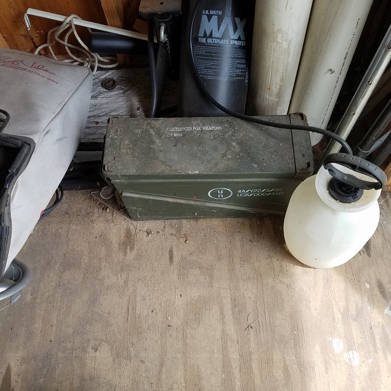 Auction Photo