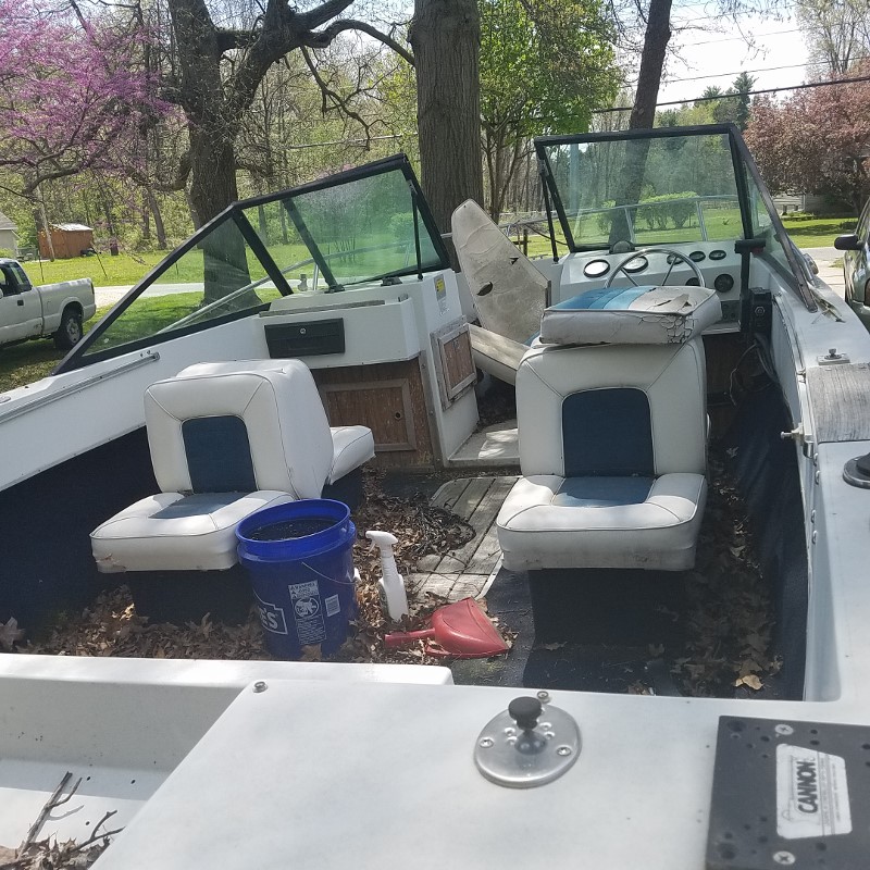 Auction Photo