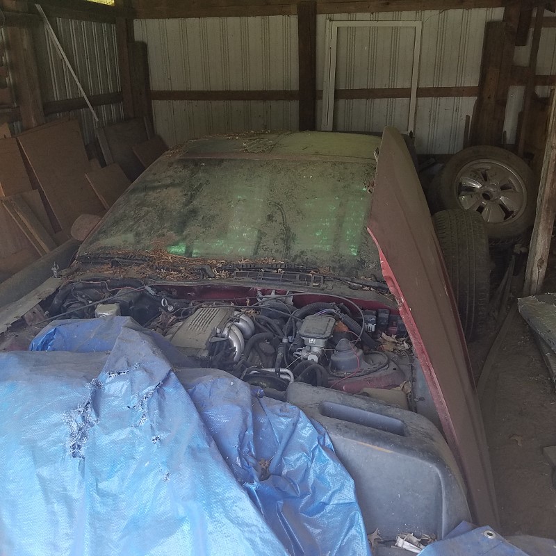 Auction Photo