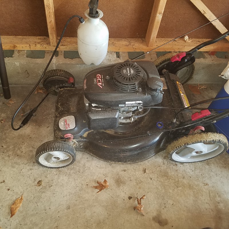 Auction Photo