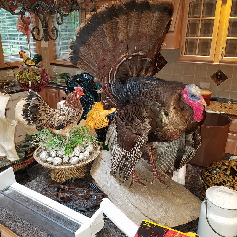 Auction Photo