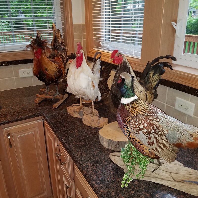 Auction Photo
