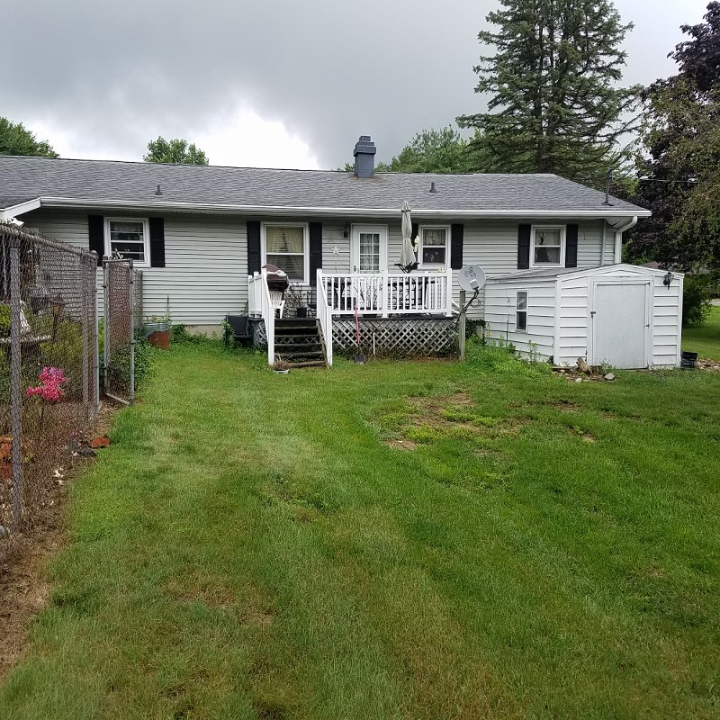 Auction Photo