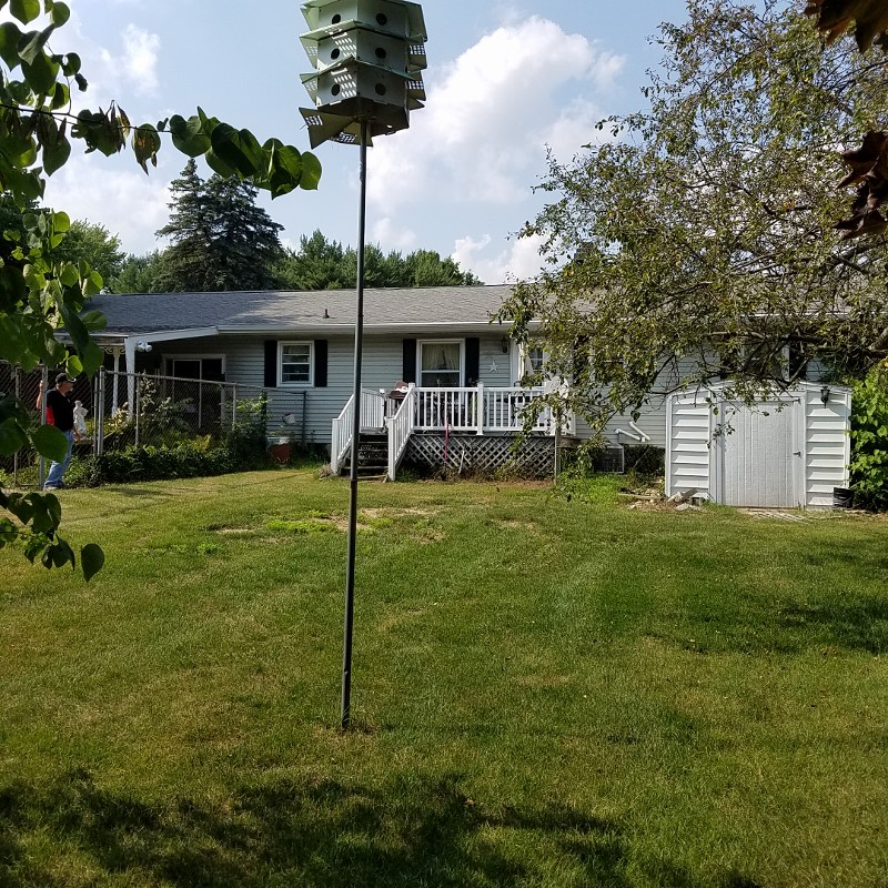 Auction Photo