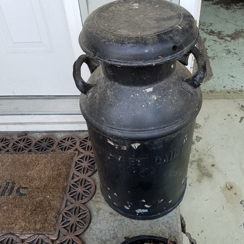 Auction Photo