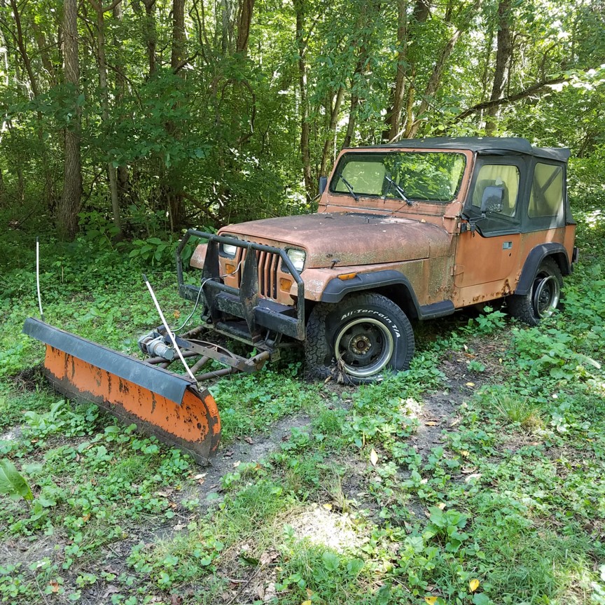 Auction Photo