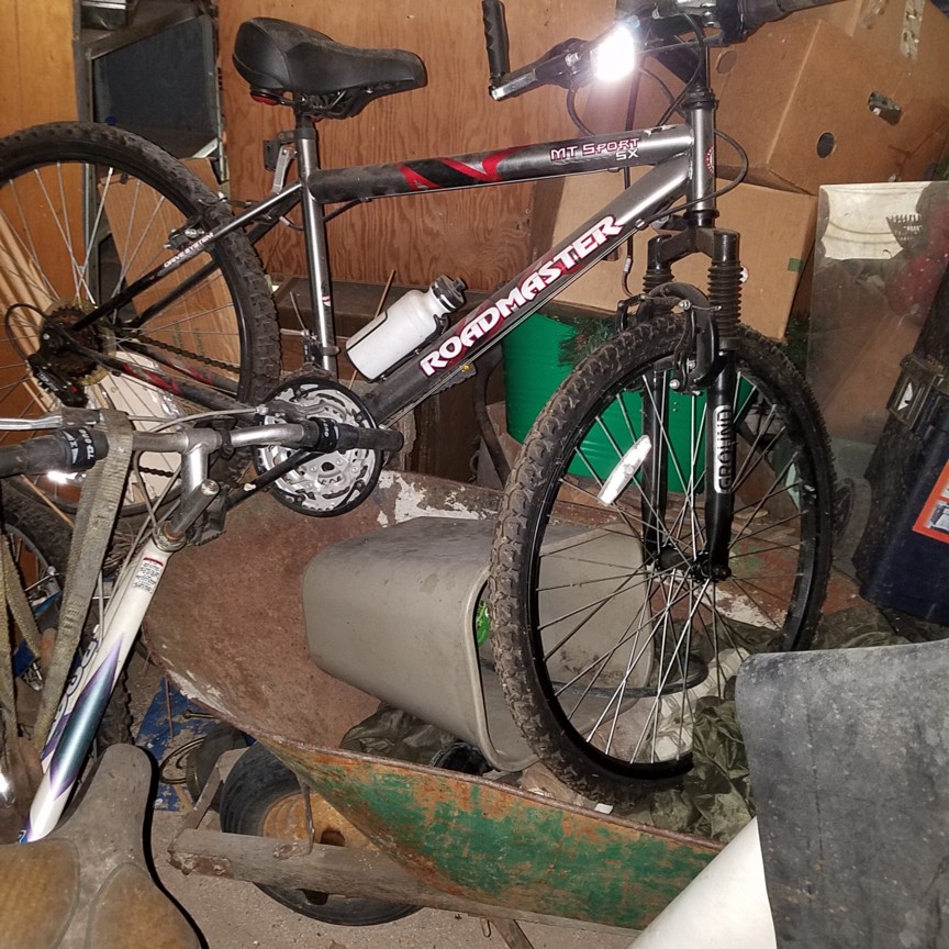 Auction Photo