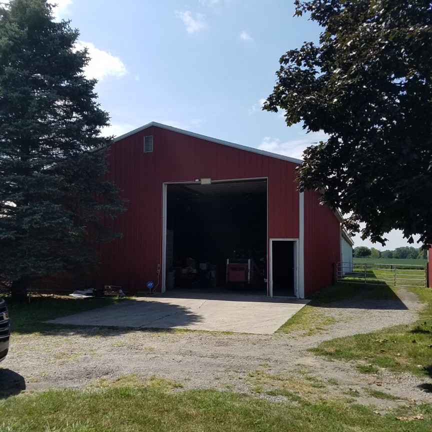 Auction Photo