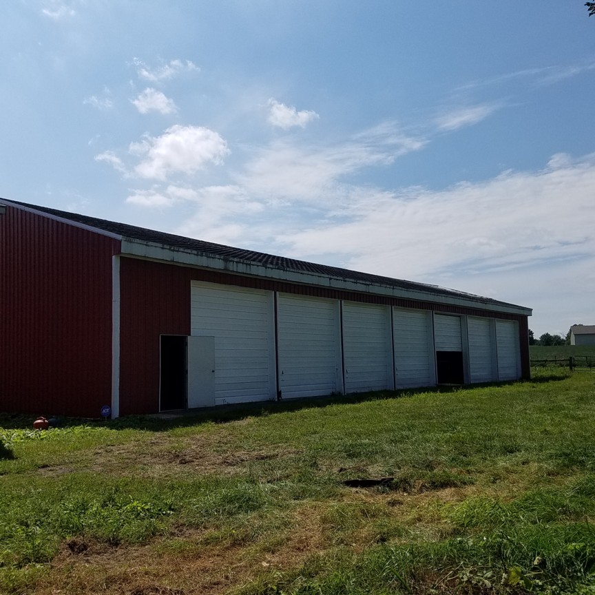 Auction Photo