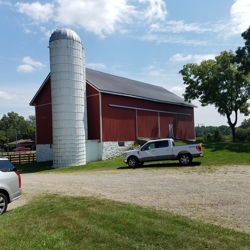 Auction Photo