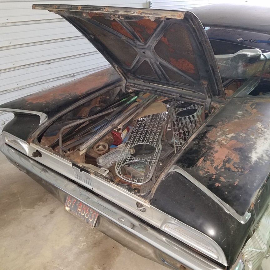 Auction Photo