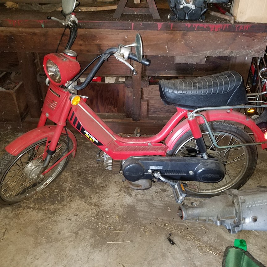 Auction Photo