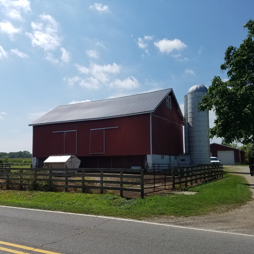 Auction Photo