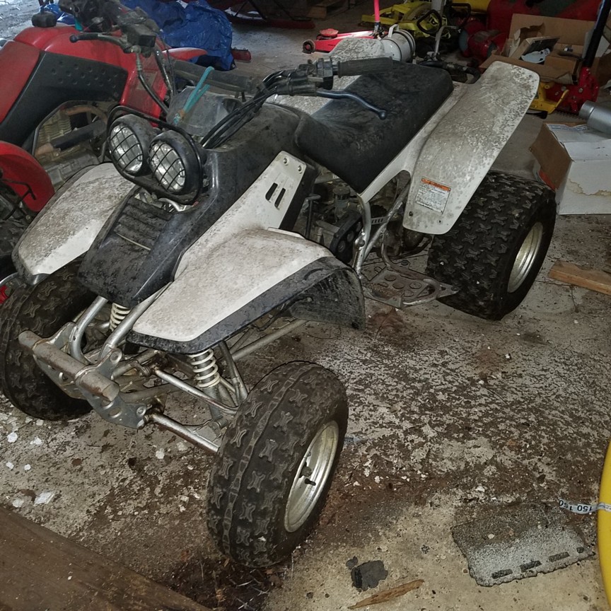 Auction Photo