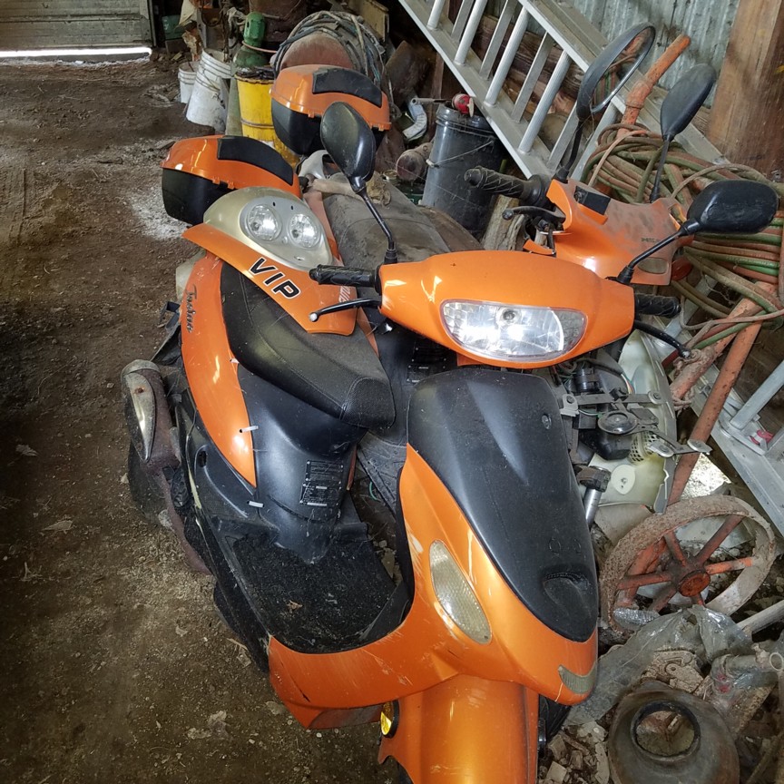Auction Photo