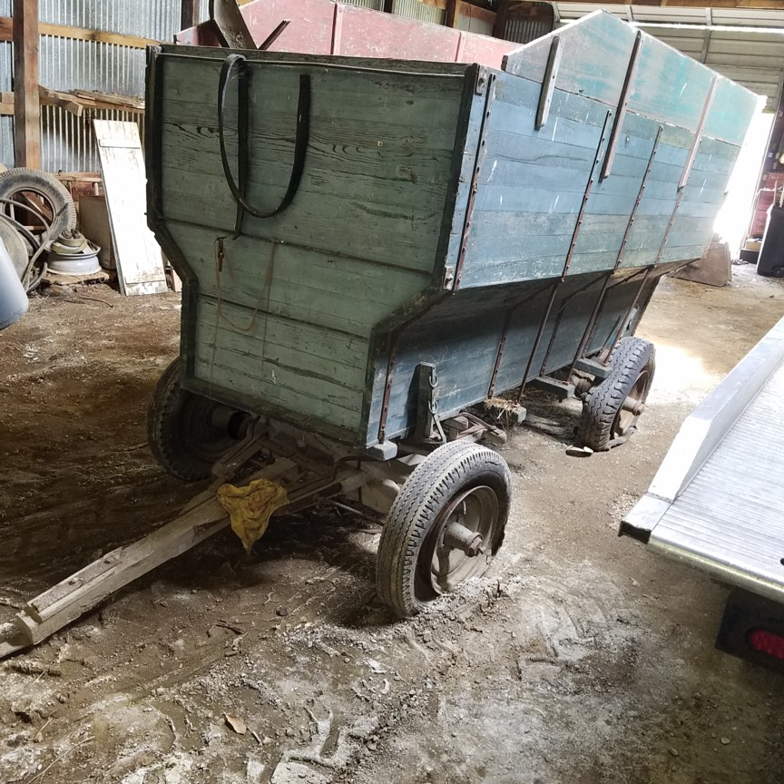 Auction Photo