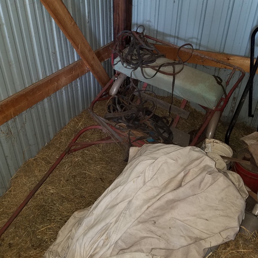 Auction Photo