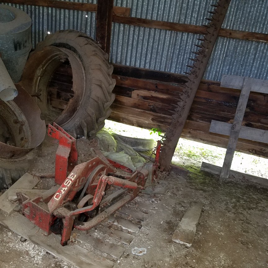 Auction Photo