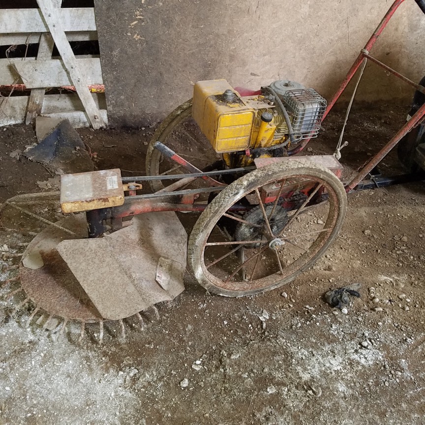 Auction Photo