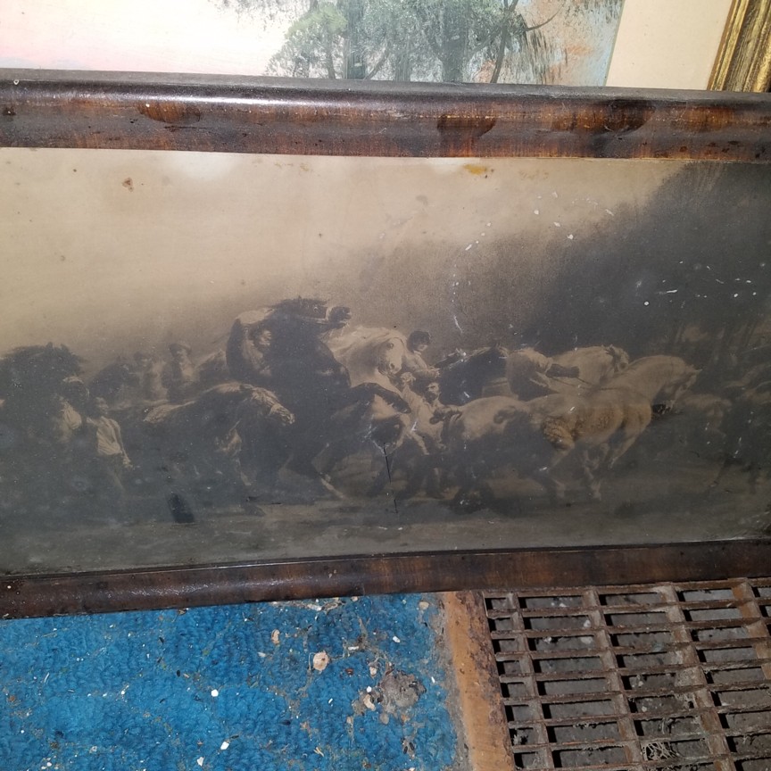 Auction Photo