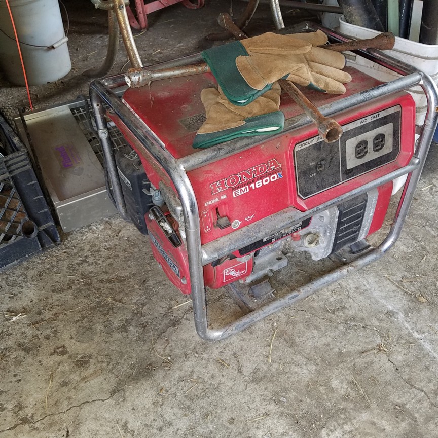 Auction Photo