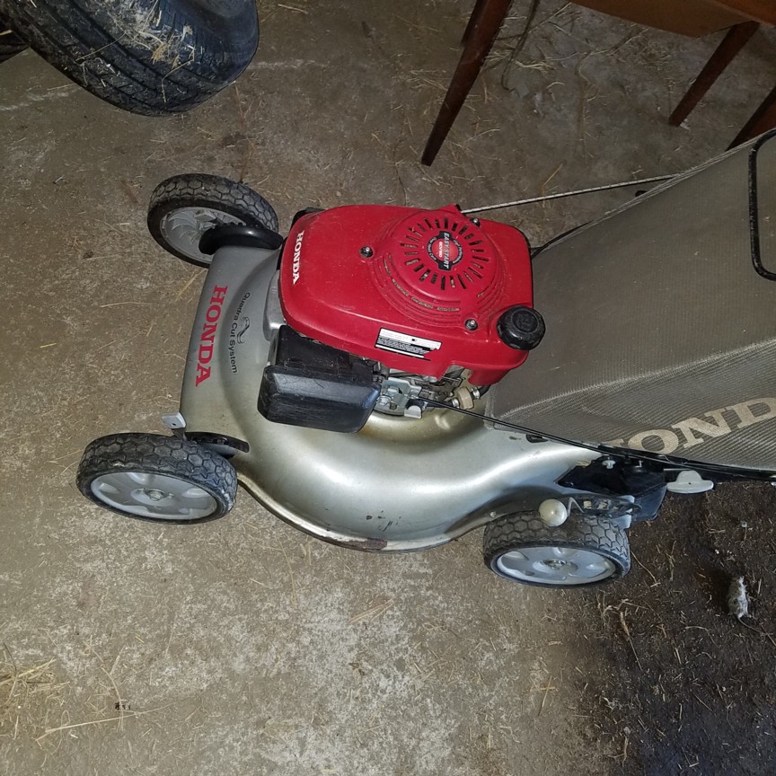 Auction Photo