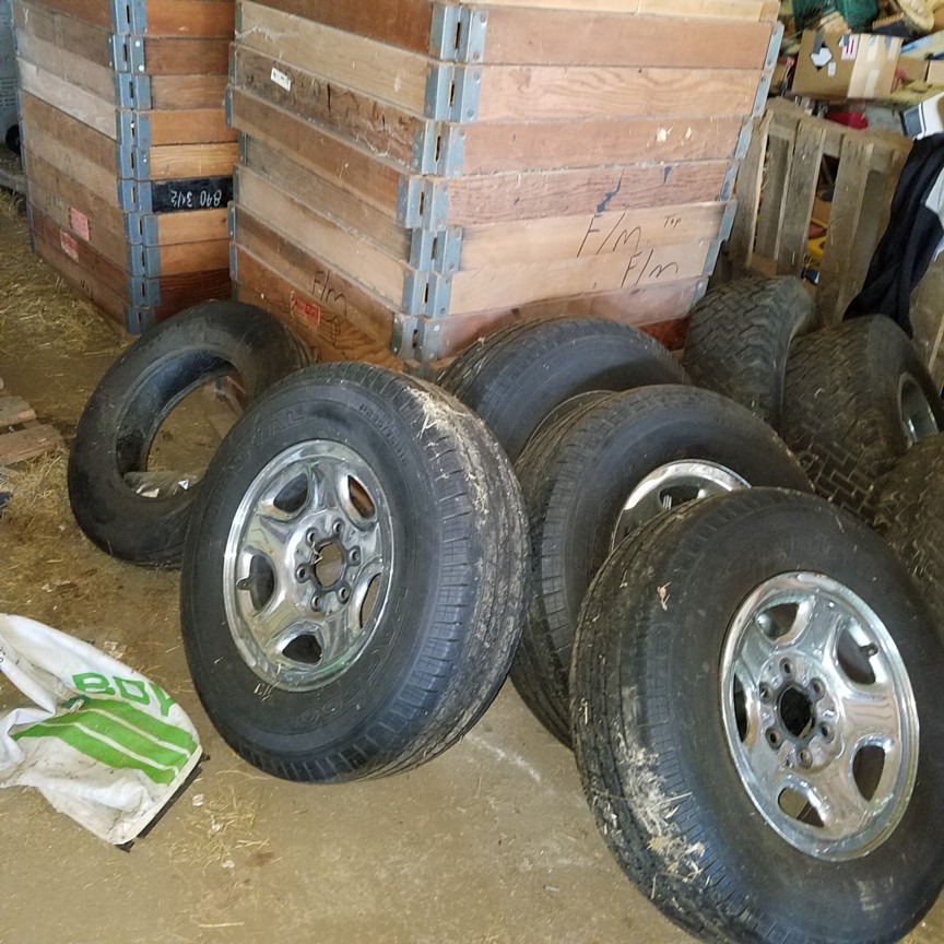 Auction Photo