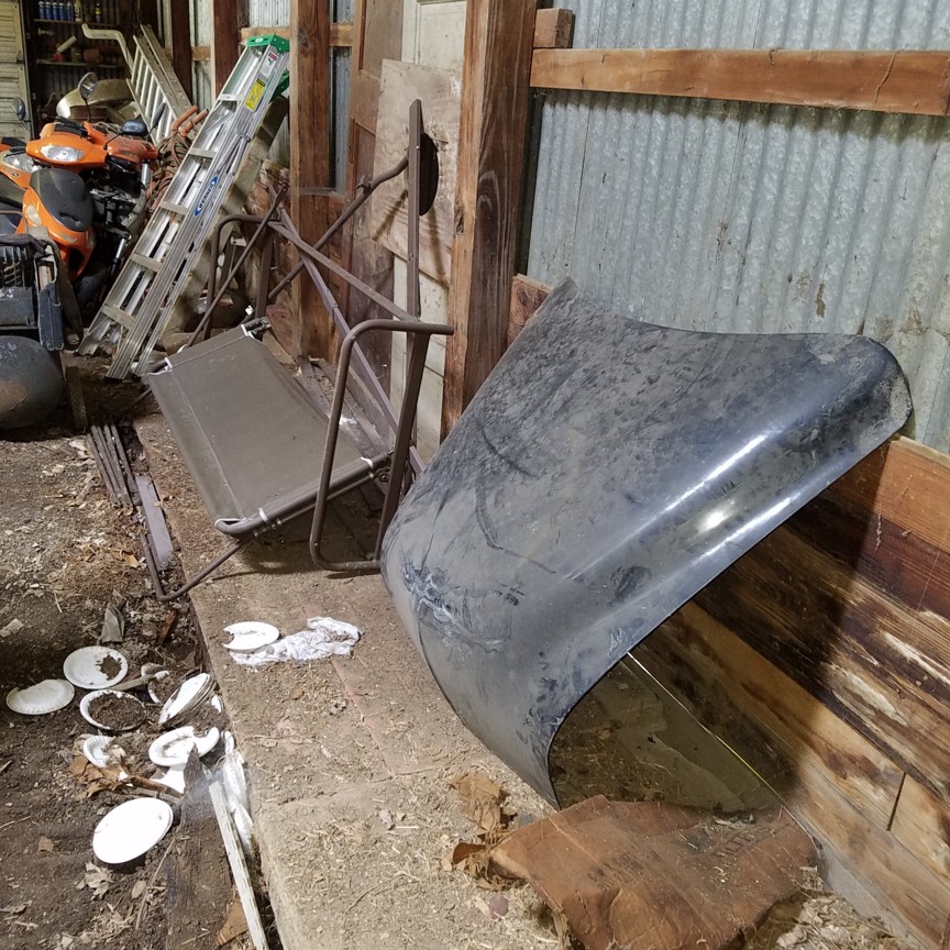 Auction Photo