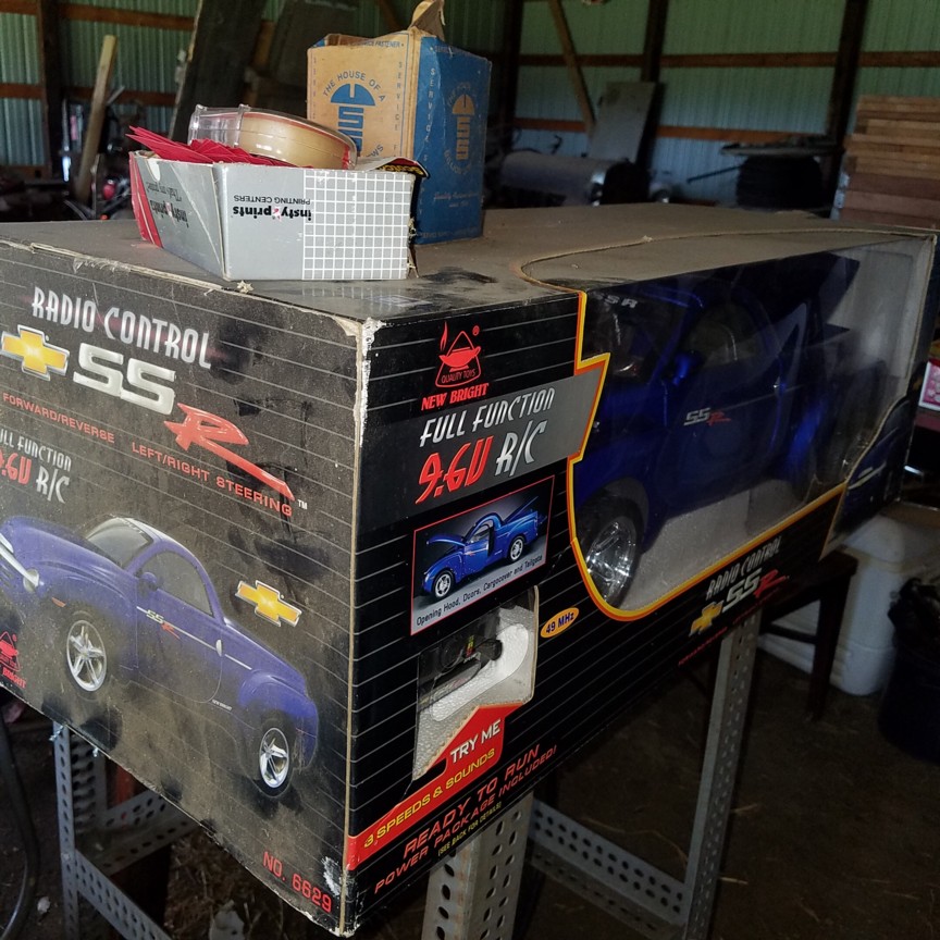 Auction Photo