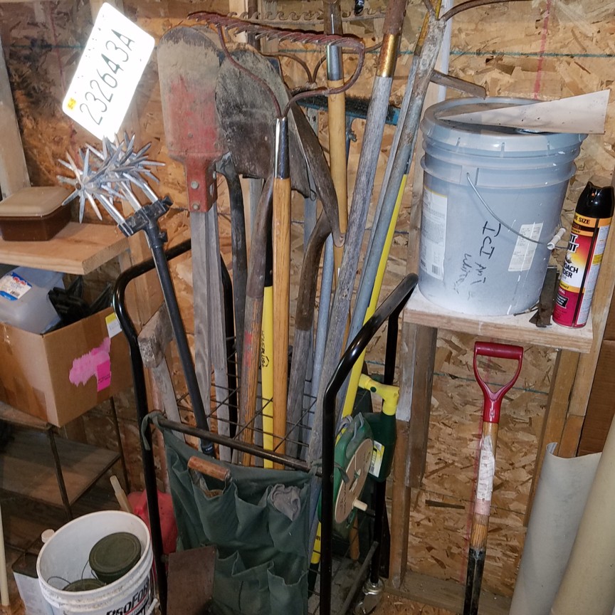 Auction Photo