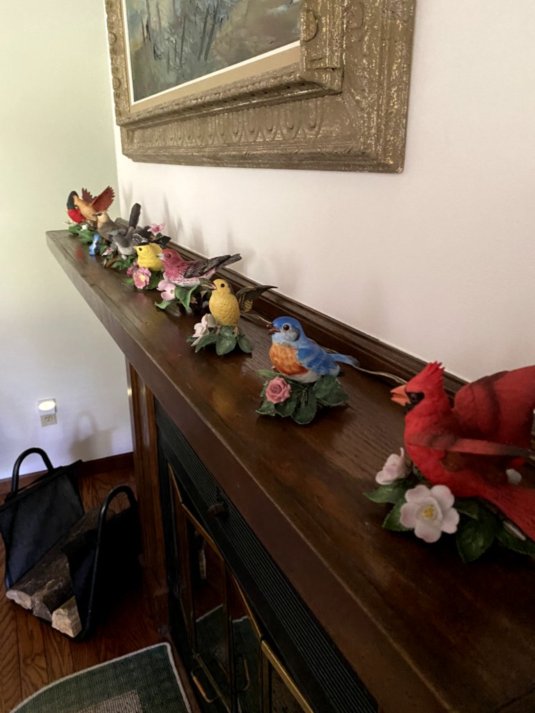 Auction Photo