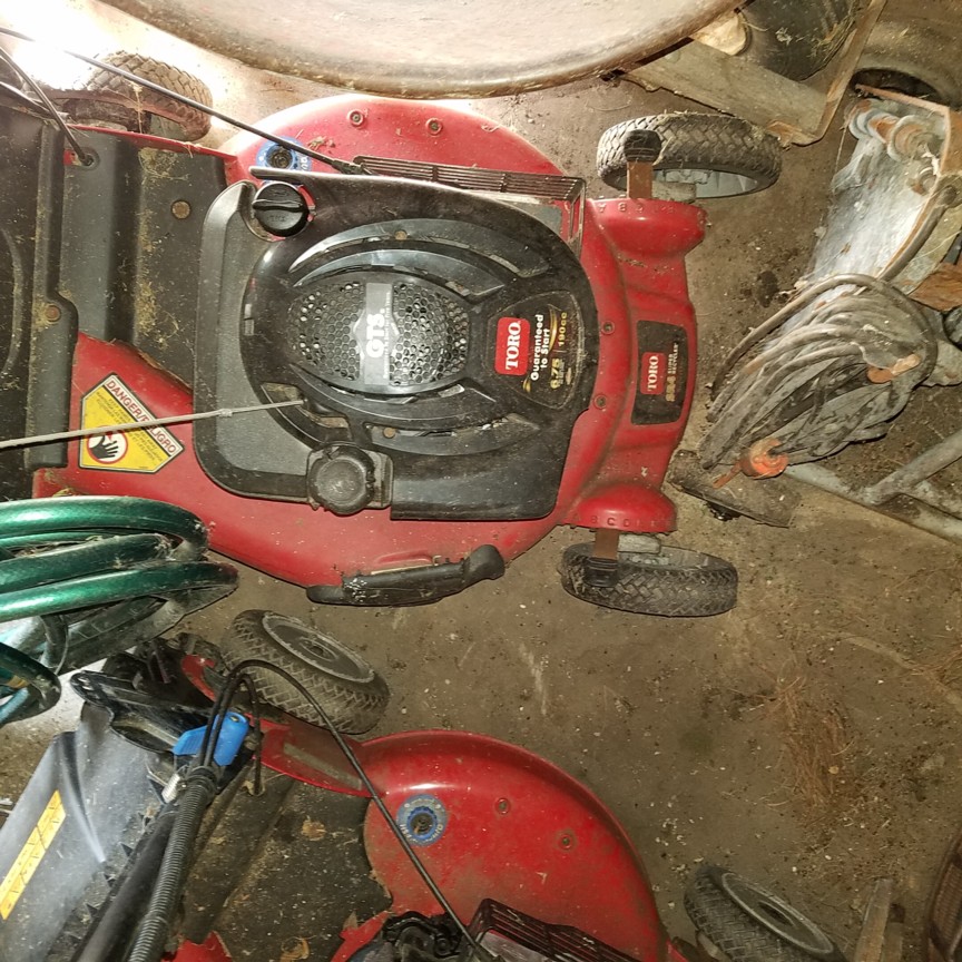 Auction Photo