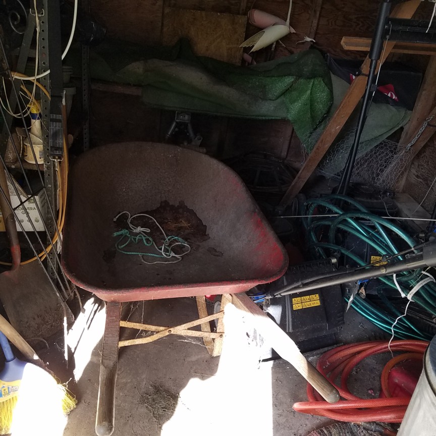 Auction Photo