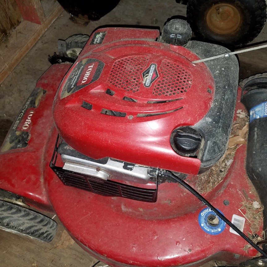 Auction Photo