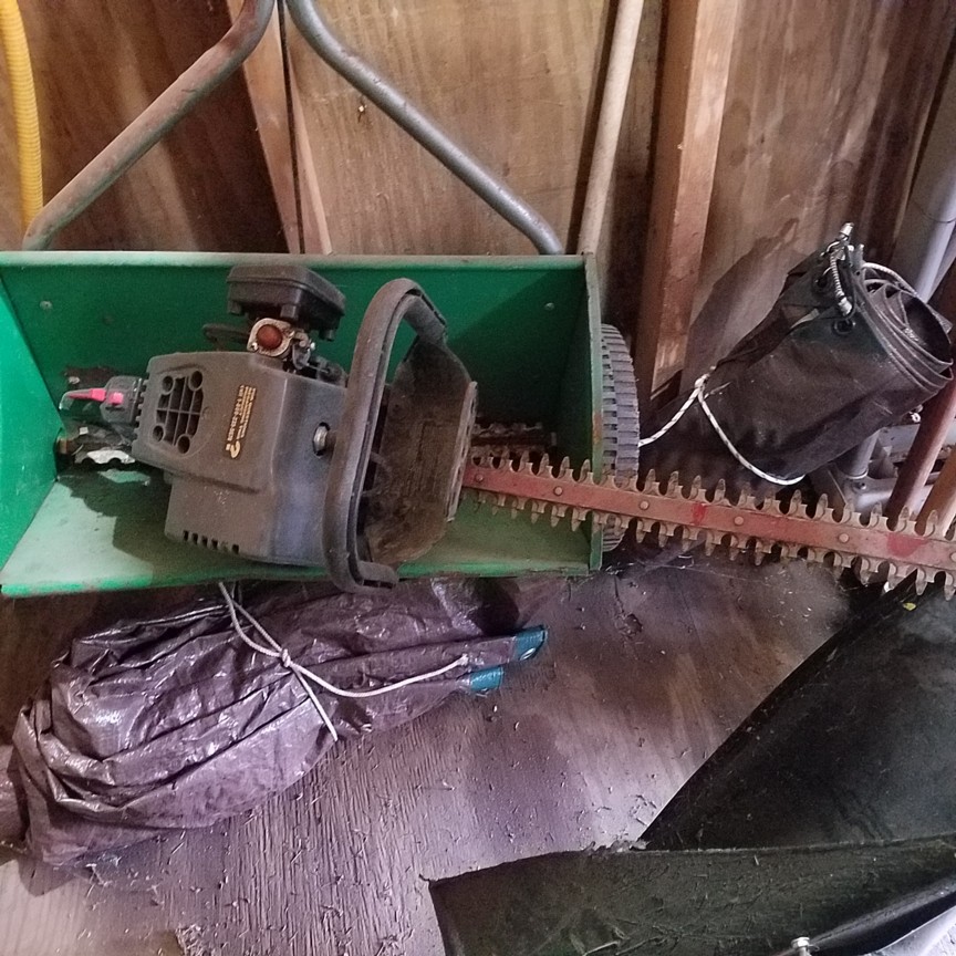 Auction Photo
