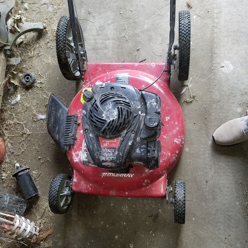 Auction Photo