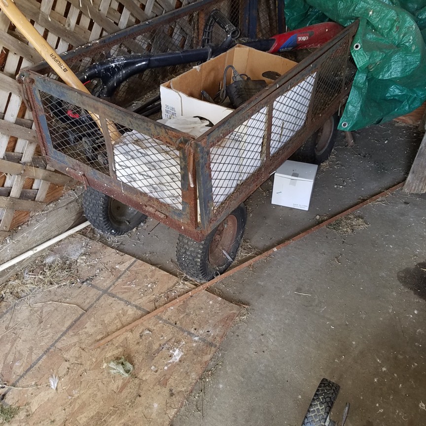 Auction Photo