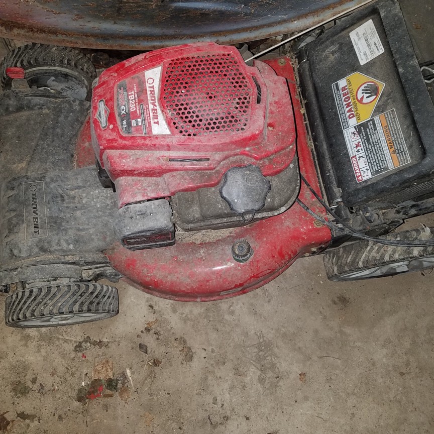 Auction Photo