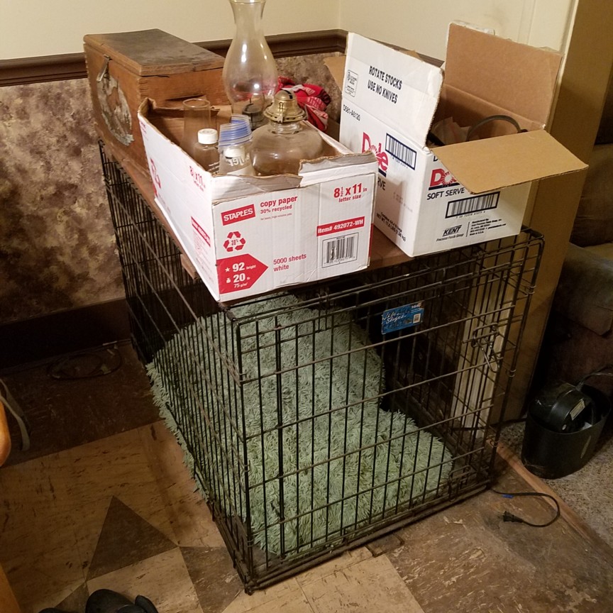 Auction Photo