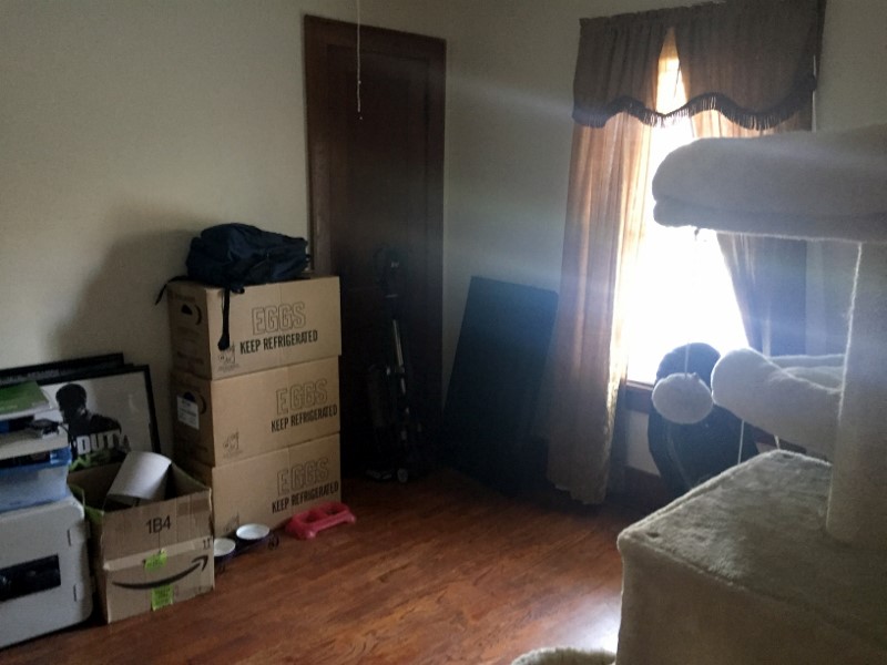 Auction Photo