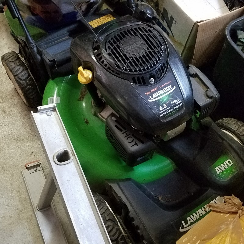 Auction Photo
