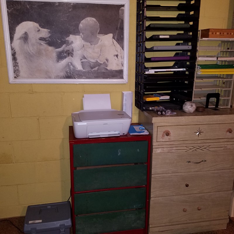 Auction Photo