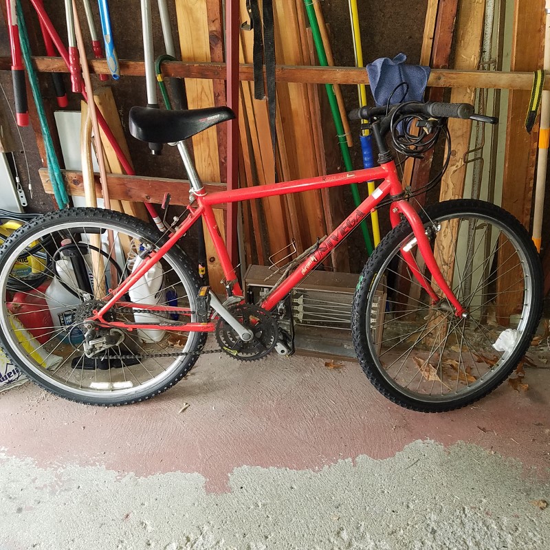 Auction Photo