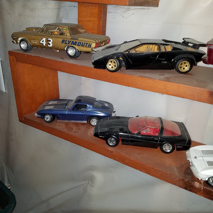 Auction Photo