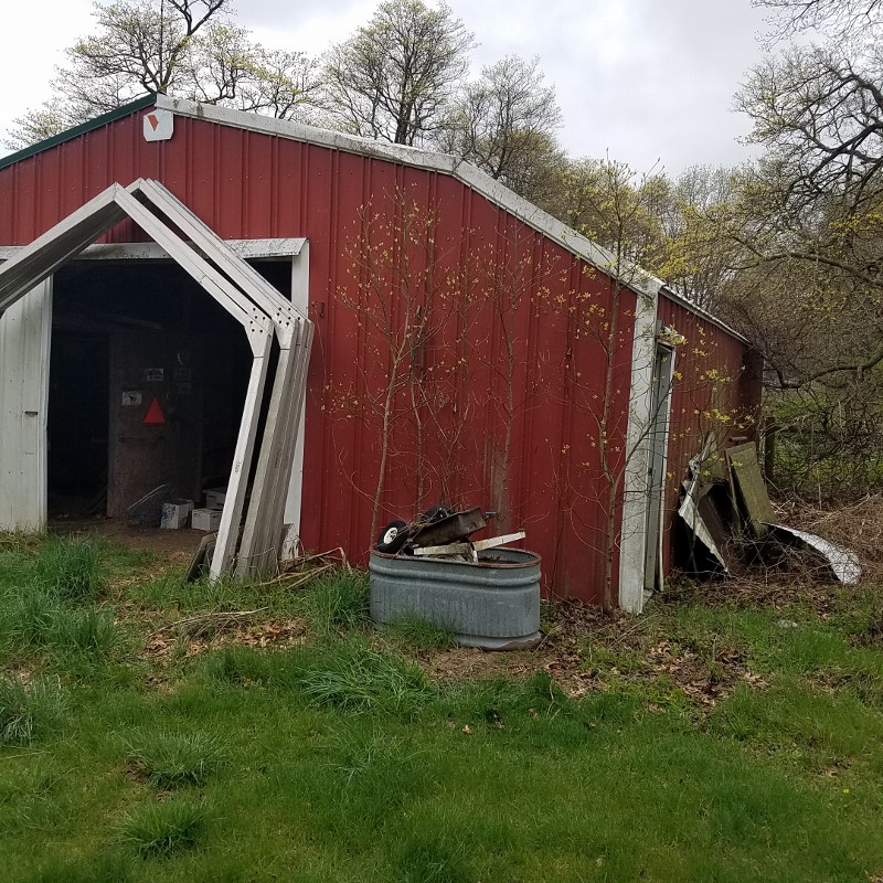 Auction Photo