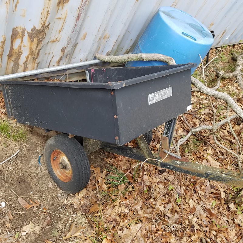 Auction Photo