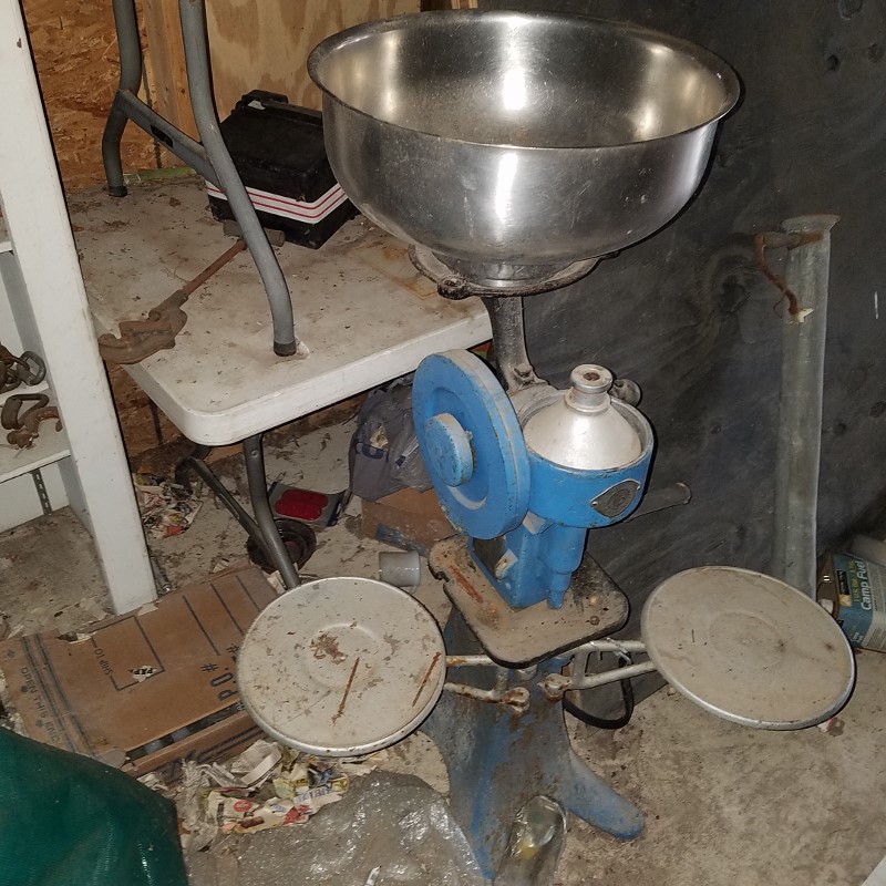 Auction Photo