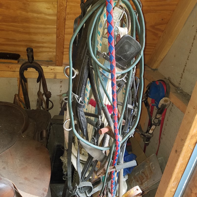 Auction Photo